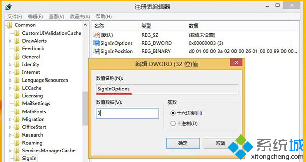SignInOptions SignInOptions