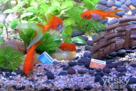 多彩瞬间 三星存储卡新品品鉴会精彩上演