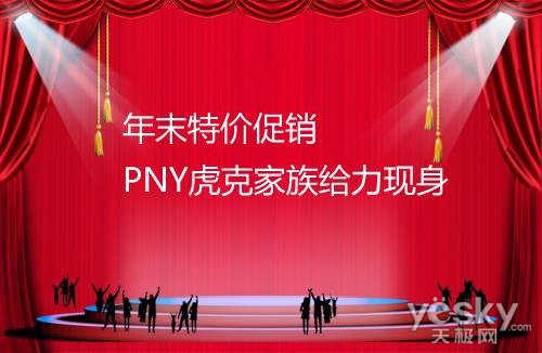年末特价促销 PNY虎克家族给力现身