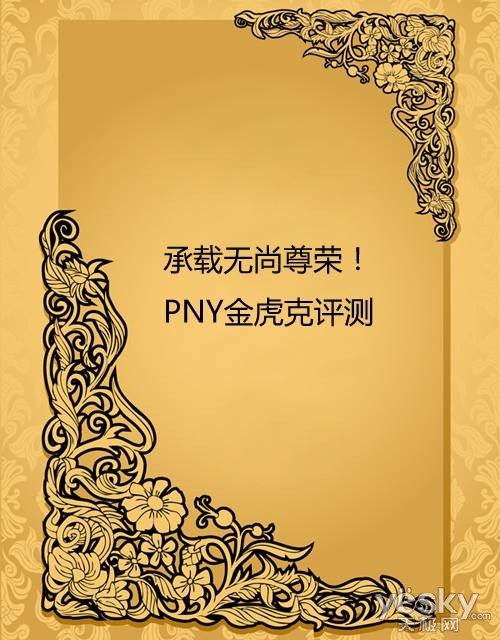 承载无尚尊荣！PNY金虎克评测