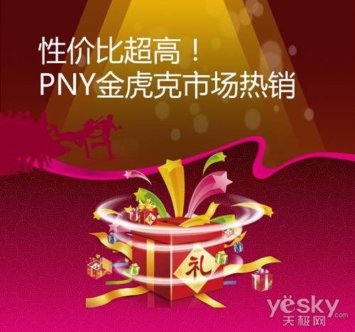 性价比超高!PNY金虎克市场热销