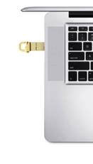 「金」彩耀眼 PNY金虎克尊荣上市