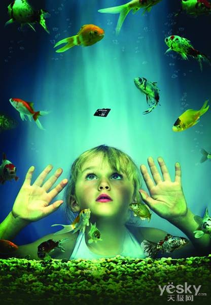 极效多重四防 三星原厂存储卡力保数据安全