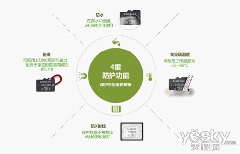 美景柳絮飞 驴友外拍三星存储卡来助阵