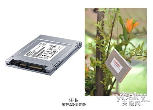 暖春盛会 东芝移动硬盘绚丽风景线