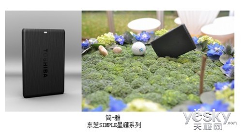 暖春盛会 东芝移动硬盘绚丽风景线