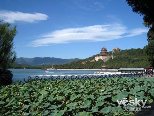 金士顿32GB SDHC存储卡是主流单反绝配