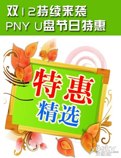 双12持续来袭 PNY U盘节日特惠