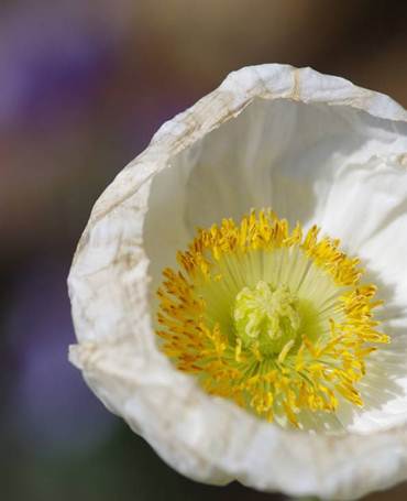 国庆出游拍不停 金士顿专业闪存卡来助兴!