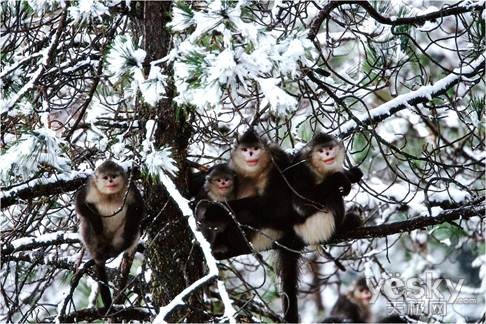 以“像”记忆 希捷硬盘助力环保影像存储