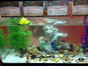 炫酷嘻哈风 存出新花Young 金士顿P&E展直击