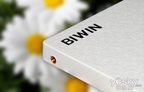 固态硬盘也温情 BIWIN新宠“太阳菊”